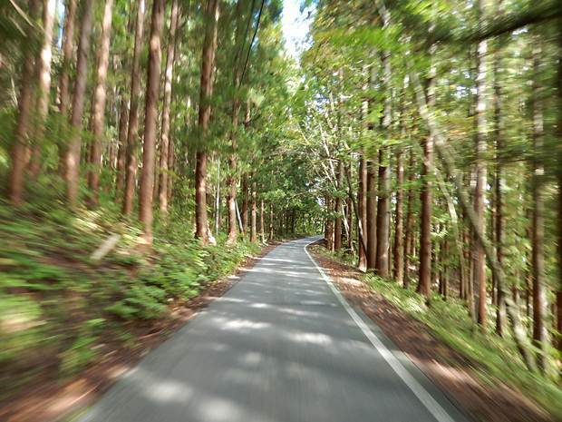 10　青木湖.JPG