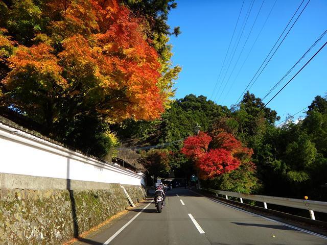11　もうすでに綺麗なんですケロ.JPG