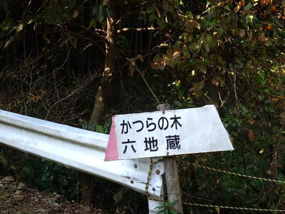 11　やっと見つけた.JPG
