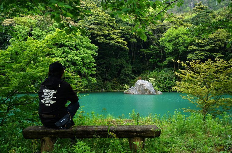 11　新緑の中の響.JPG