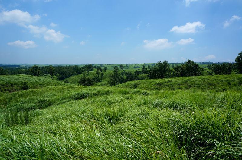 12　外輪山の草原はここからが一番.JPG