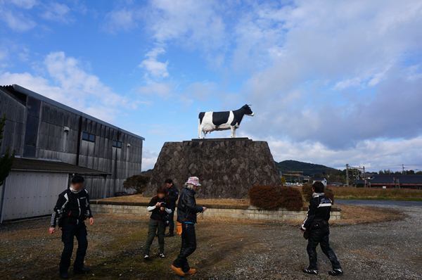12　牛だけで遊び倒す大人たち.JPG