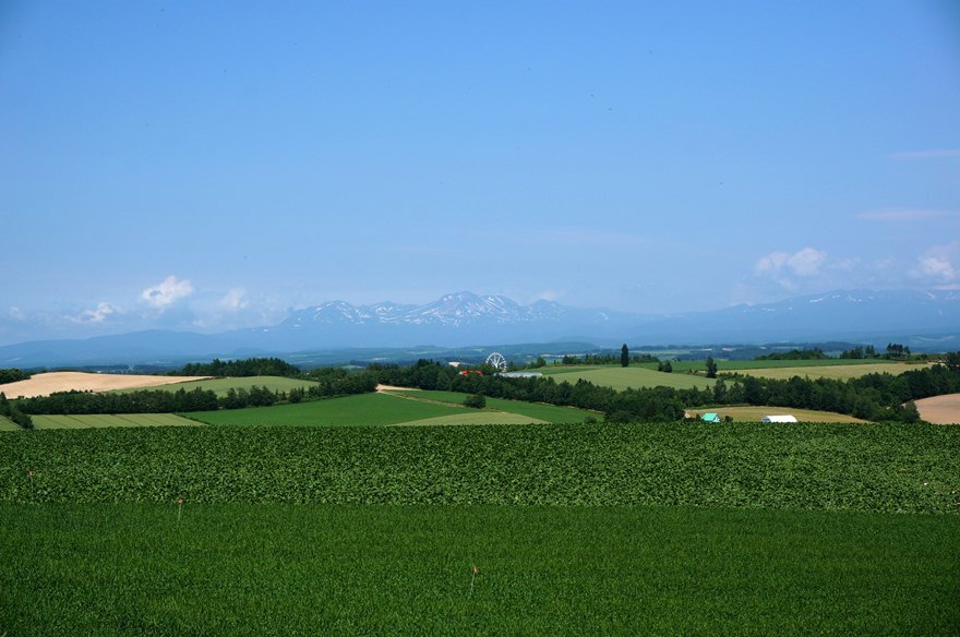 13　ここからも大雪山.JPG
