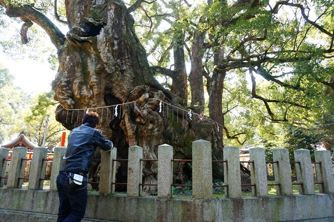 13　見飽きない.JPG