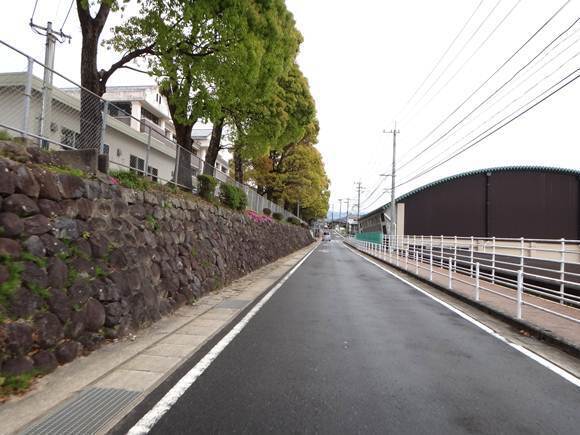 13　雨が降った痕が.JPG