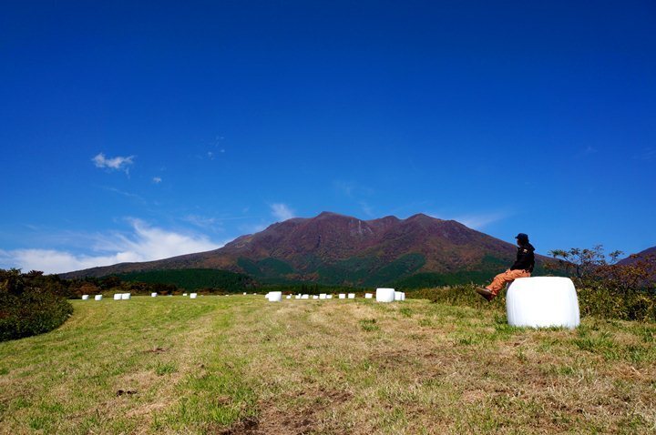 14　この周辺の肥やしの香りは甘い.JPG