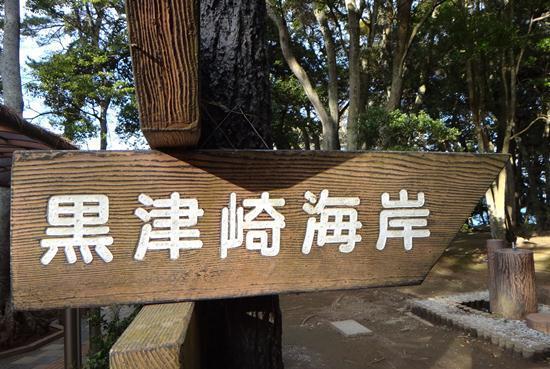 14　この海岸にあるらしい.JPG