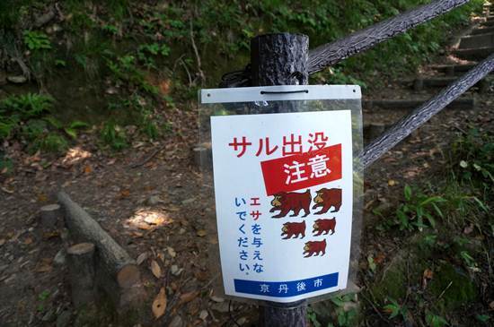 14　目を合わせないようにしましょう.JPG