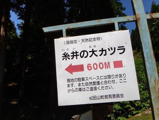 14　看板はありました.JPG
