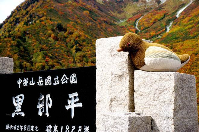 14　雷鳥が出迎え.JPG
