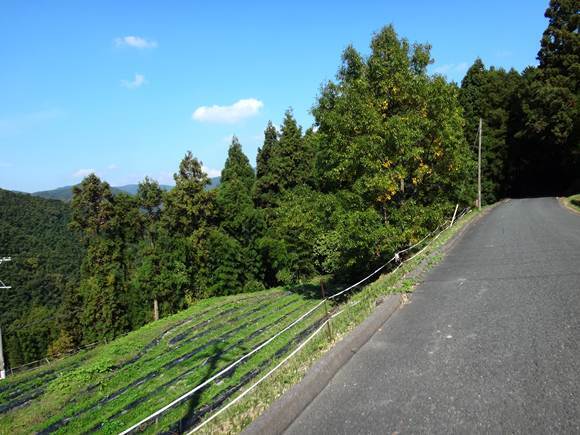 15　普通に山道.JPG