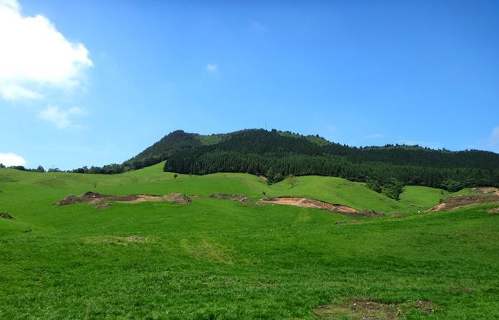 15　牧場の草原です.JPG