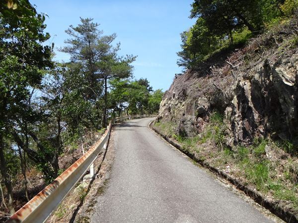 15　登ってる感たっぷりな道.JPG