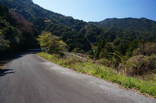 16　かなりダイナミックな林道.JPG