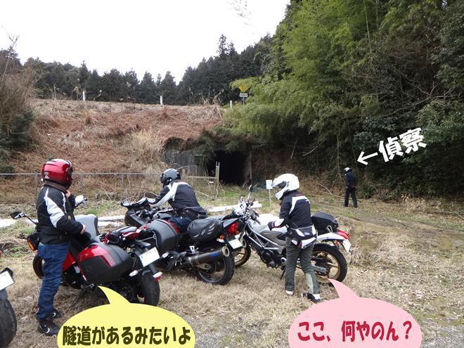 17 こうした地道な努力が廃墟には必要.jpg