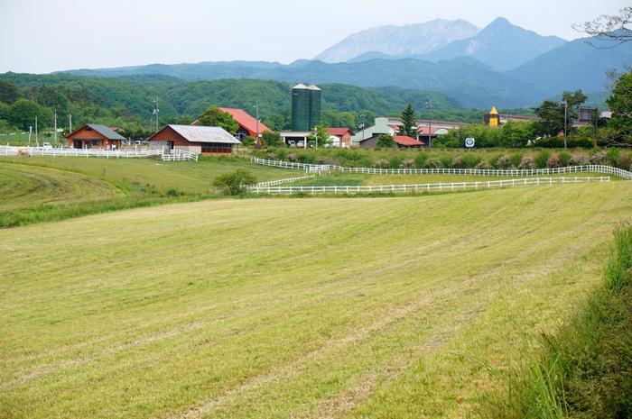 17　大山が見える.JPG