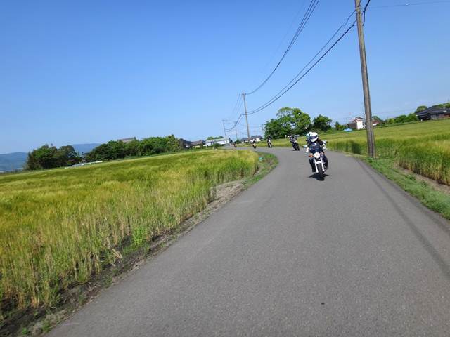 17　麦秋になる前だね.JPG