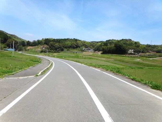 18　なんとも清清しい道.JPG