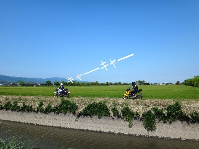 18　草ぼうぼうですからね.jpg
