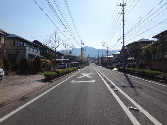 1　もくれんの咲く団地から.JPG