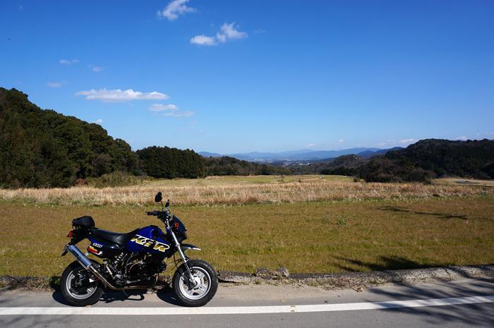 1　ド、マイナーな山手の道からこんにちは.JPG
