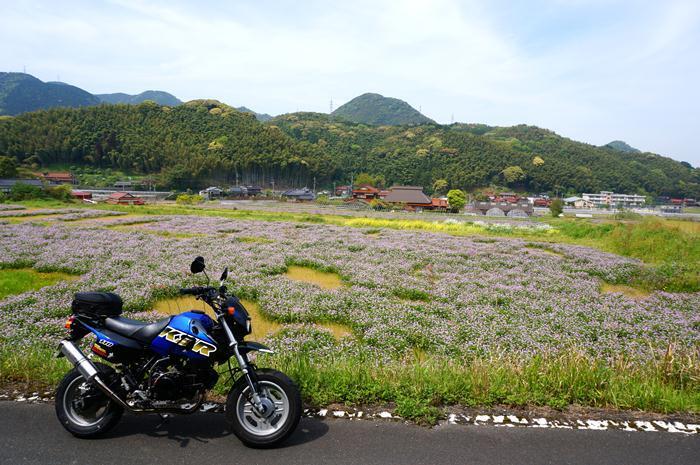 1　市内なんです.JPG