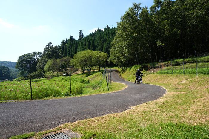 1　林道リンリン.JPG