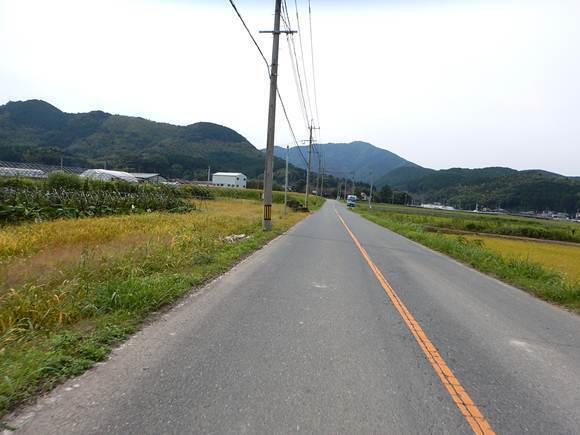 1　近所をぶらり旅.JPG