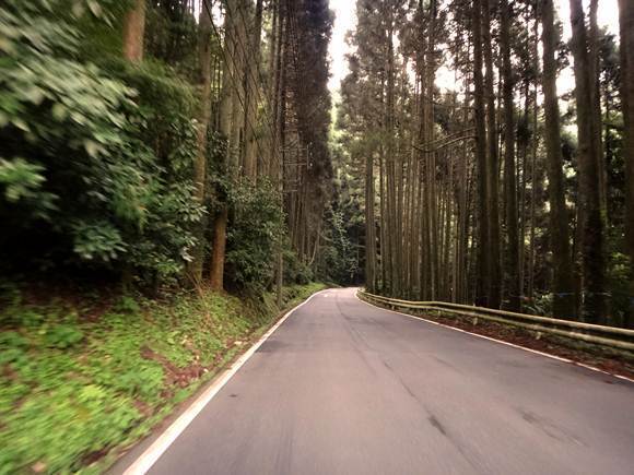 20　だいたいこんな道.JPG