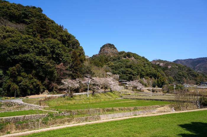 20　国東半島らしい風景.JPG