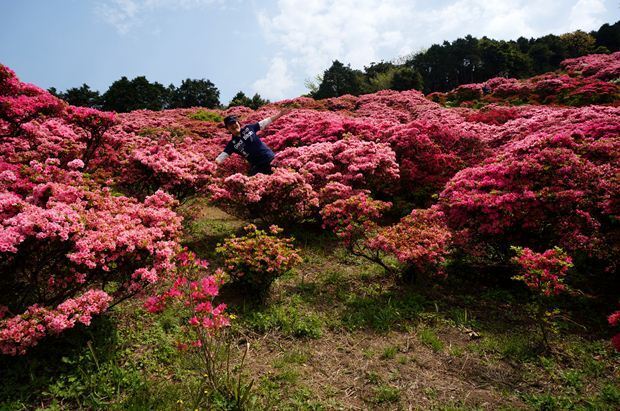 21　花の妖精です.JPG