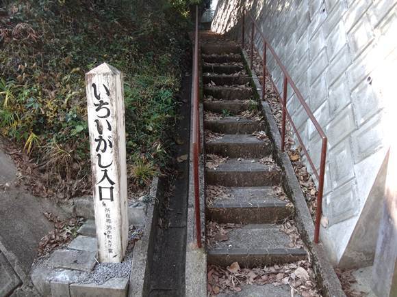 23　奇跡的に見つけた.JPG