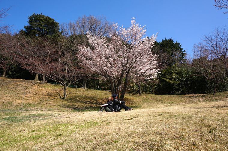 25　お菓子のＣＭチックに.JPG