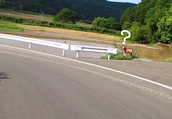 25　バイクを始めてみた？.jpg