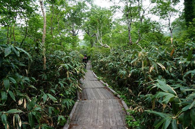 25　北海道屈指の高層湿原.JPG