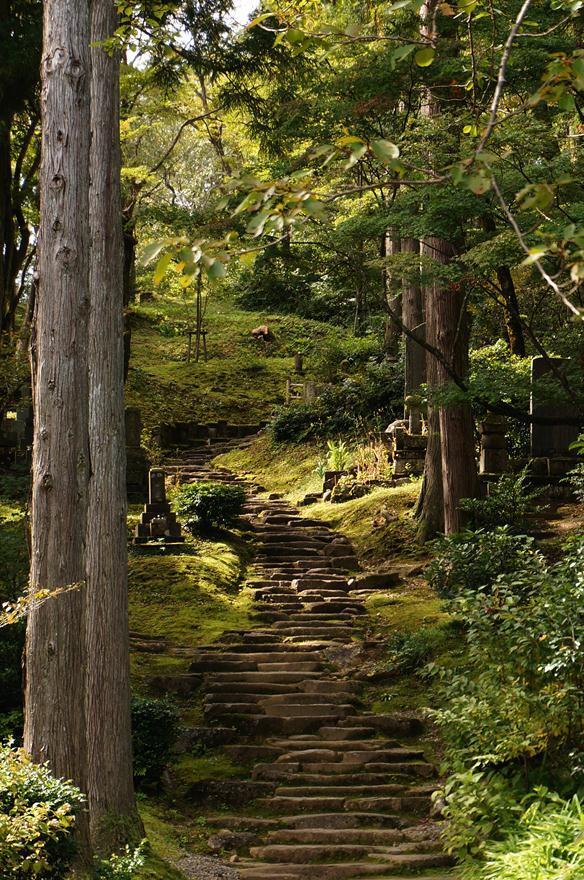 25　謙信が凱旋した春日山へ.JPG
