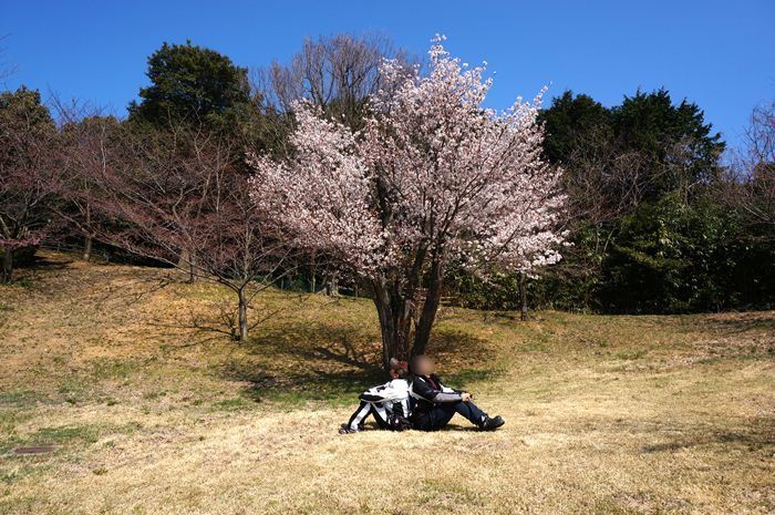 26　オチも忘れずに.JPG