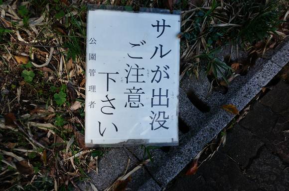 26　注意しろって事は凶暴なんじゃな.JPG