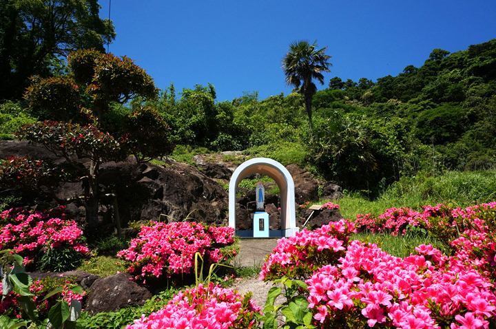 27　ツツジって夏の花？.JPG