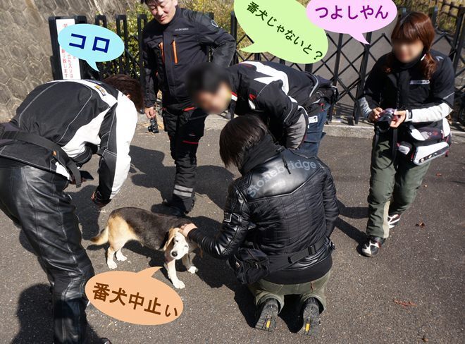 27　ビーグルが入っています.jpg