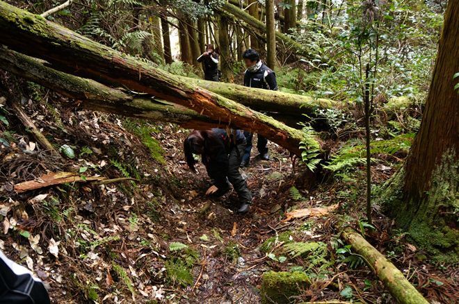 27　マイナリストらしい風景３.JPG