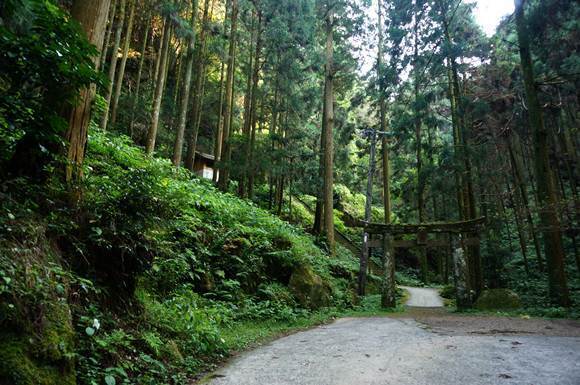 27　古い鳥居.JPG