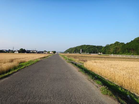 27　宇佐のまくり用の農道.JPG