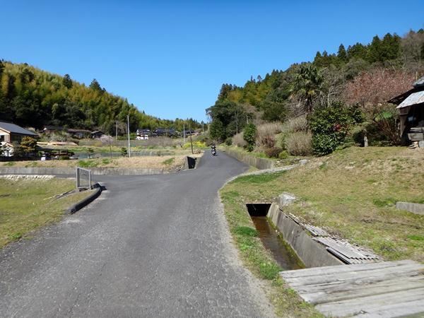 27　綺麗な道ありこんな道あり.JPG
