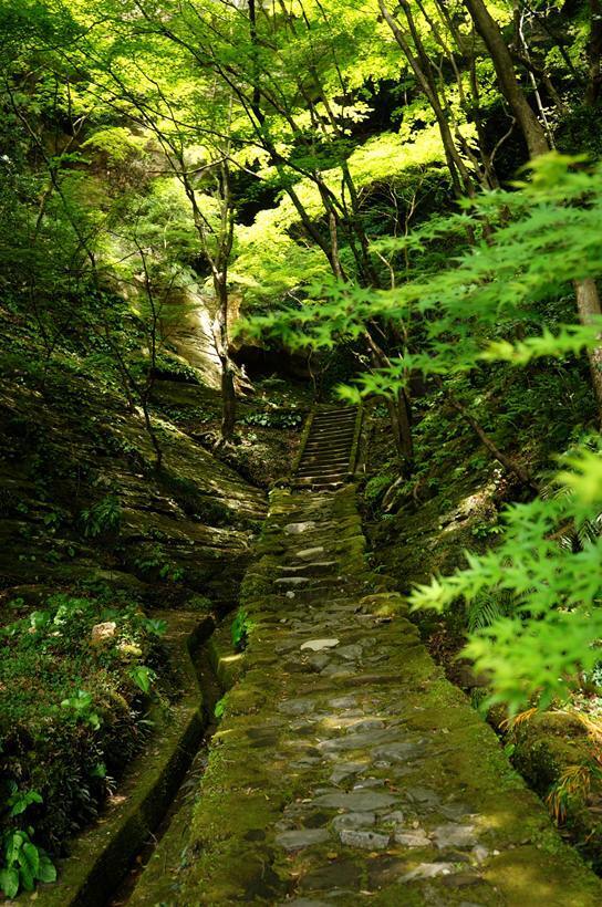 27　雰囲気ばつぐんの参道.JPG