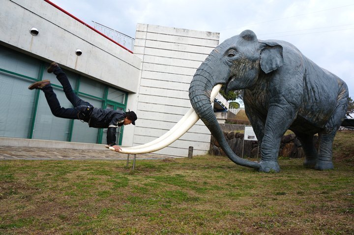 2　像と遊びます.JPG