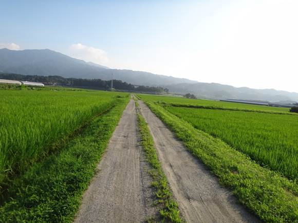 30　帰りも農道.JPG