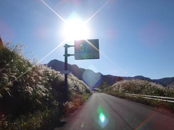 30　道路標識もケニーロード.JPG