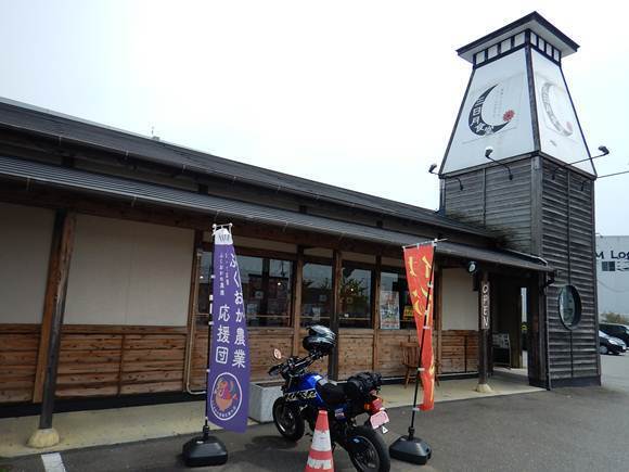 31　リピーターです.JPG