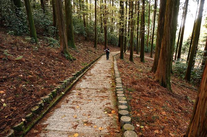 31　山道です.JPG